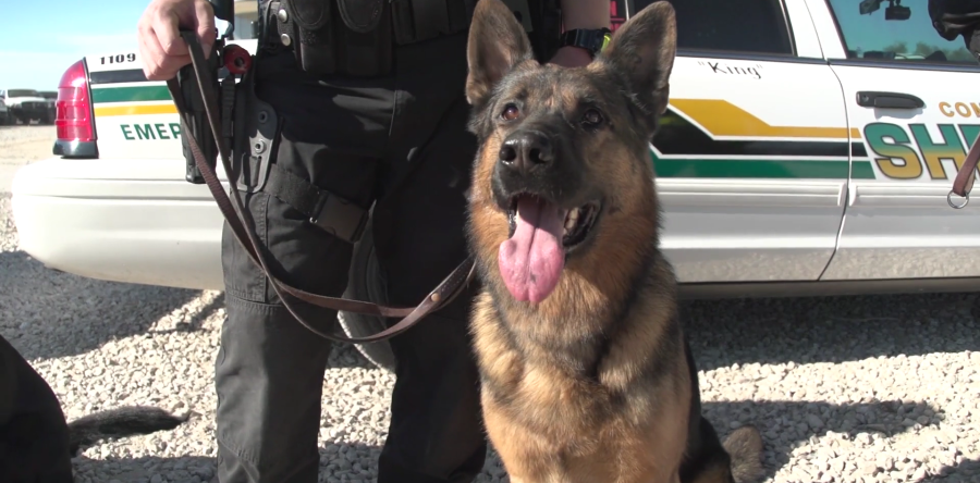 Copart Austin Law Enforcement